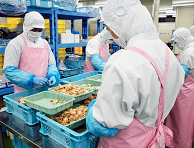 日本企業も多数参画!ホットな食品加工事情